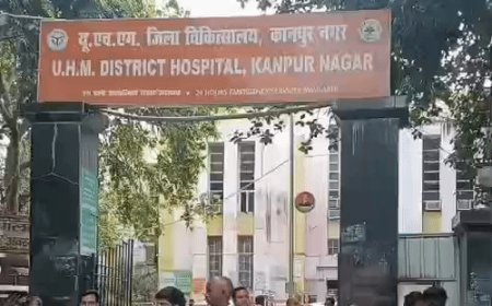 30 दिन में डेंगू के 123 नए मरीज, ग्वालटोली-बिल्हौर हॉटस्पॉट:कानपुर में डॉक्टर बोले- पानी न जमा होने दें, हैलट-उर्सला की ओपीडी में भीड़