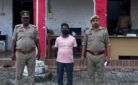 मलेशिया में नौकरी का झांसा देकर 3.20 लाख की ठगी:गलत वीजा थमाकर दो युवकों को विदेश भेजा, एयरपोर्ट से लौटे; आरोपी गिरफ्तार