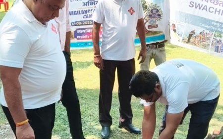 स्वच्छता ही सेवा अभियान:बरेली में पर्यावरण संरक्षण व जन-जागरूकता के लिए लगाए पौधे, बचाने का संकल्प लिया