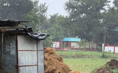 बस्ती में तेज बारिश से गलियों में पानी भरा:तापमान 23 डिग्री सेल्सियस तक पहुंचा; जानिए आगे कैसा रहेगा मौसम