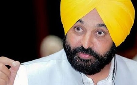 पंजाब CM को दिल्ली एयरपोर्ट पर 3 घंटे रोका गया:AAP का दावा- भगवंत मान का अधिकारियों ने 50 हजार रुपए का चालान काटा
