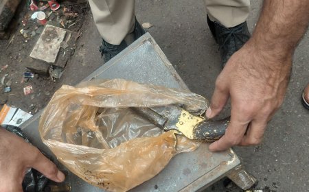 जालौन में पान की दुकान के नीचे मिला तमंचा:जगम्मनपुर बाजार में 315 बोर का हथियार, 2 खोखा कारतूस बरामद