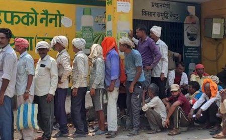 महंगी खाद बेचने के आरोप में कैडर सचिव निलंबित:औरैया में डीएपी तय दर से अधिक कीमत पर बेचने का मामला, विभागीय कार्रवाई शुरू