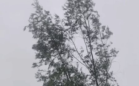 मऊ में अर्नब तूफान का असर:23 जिलों में बारिश का अलर्ट, धान की फसल को नुकसान