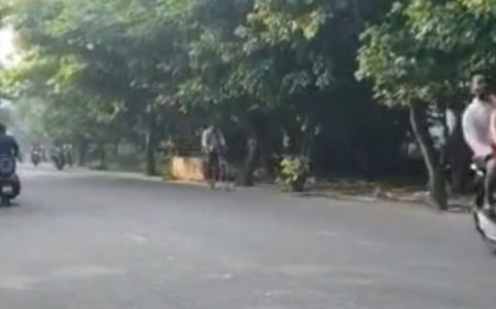 मुरादाबाद में तेज धूप से बढ़ी उमस:32°C तापमान, मौसम वैज्ञानिक ने ज्यादा पानी पीने की दी सलाह
