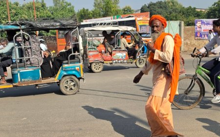 संभल में 3-दिन की बारिश के बाद सुबह-रात सुहाना मौसम:बुखार के मरीज बढ़े, जिला अस्पताल में 62 भर्ती; ईख में लगा कीड़ा