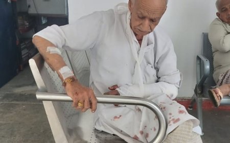 ग्रीन बेल्ट से पौधे हटाने पर 2 पक्षों में मारपीट:ग्रेटर नोएडा के नवादा गांव की घटना सीसीटीवी में कैद, 84 साल के बुजुर्ग को चोटें