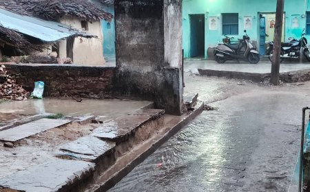 चित्रकूट में 30 किमी की रफ्तार से चलीं हवाएं:बारिश से फसलों पर संकट, किसानों को कृषि विभाग की सलाह
