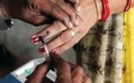 पंचायत चुनाव 3 माह में- क्या बोले वकील और याचिकाकर्ता:यूपी सरकार- इलेक्शन कमीशन को आदेश, मुख्य याचिकाकर्ता खुद वकील