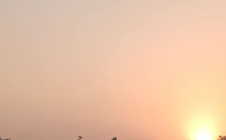 बरेली में आज खिली रहेगी धूप:पारा 31 डिग्री तक पहुंचेगा; सुबह-शाम हल्की ठंड का अहसास