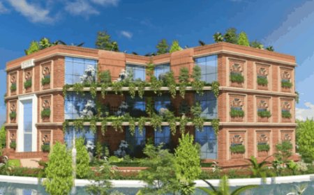 491 करोड़ से बनेगा यूपी का पहला वानिकी विवि:CM योगी करेंगे शिलान्यास; 124 एकड़ में होगा निर्माण