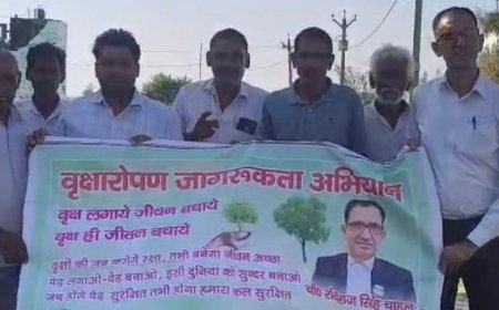 संभल में वृक्षारोपण जागरूकता अभियान:ग्रामीणों को किया गया प्रेरित, पर्यावरण संतुलन खातिर लगाए पौधे