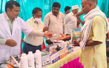 बसडिला में पशु आरोग्य मेला:457 पशुओं को मिला उपचार,बीमारियों से बचाव के लिए समय पर टीका लगवाने की सलाह
