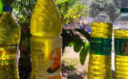 नासिक-कुंभ मेला के पास ग्राउंड वाटर में कैंसर के तत्व:पानी में तय सीमा से 1,000 गुना ज्यादा क्रोमियम-6; यहां अगस्त 2027 में कुंभ का आयोजन