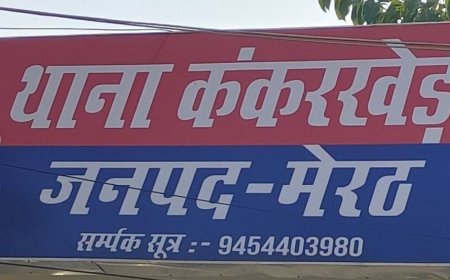 बेजुबान जानवरों को खाना खिलाने गई महिला से अभद्रता:मेरठ में NGO चलाने वाली महिला ने दरोगा के खिलाफ की शिकायत