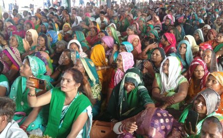 एमएसपी से कम दाम पर फसल खरीदना गैरकानूनी हो:राकेश टिकैत बोले- धान खरीद में बिचौलिए कर रहे खेल, गन्ने का रेट 500 रुपए क्विंटल हो