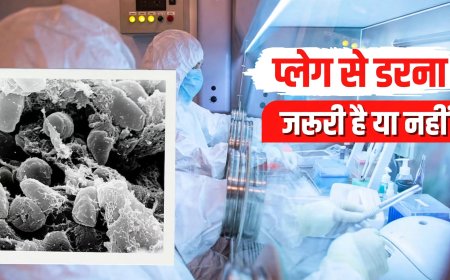 क्या रूस में प्लेग का मामला नई महामारी बनेगा? कितना खतरनाक और कैसे बचें