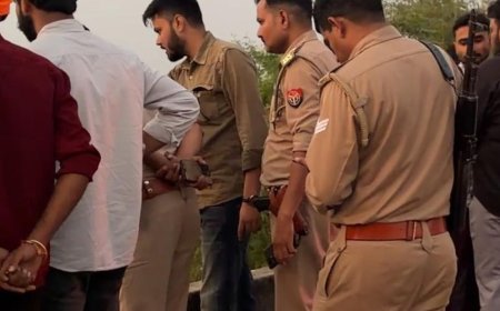 मेरठ में रजवाहे किनारे मिले गोवंश अवशेष, गोसेवकों में गुस्सा:पुलिस ने 3 दिन में गिरफ्तारी का आश्वासन दिया, टीम ने अवशेष दफनाए