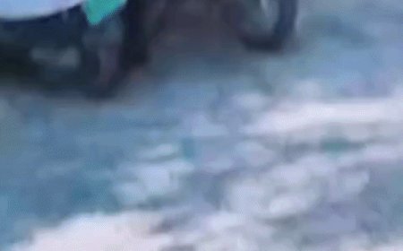 ललितपुर में स्कूटी की डिग्गी से 50 हजार रुपये चोरी:टोपी पहने युवक CCTV में कैद, कैश लेकर फरार