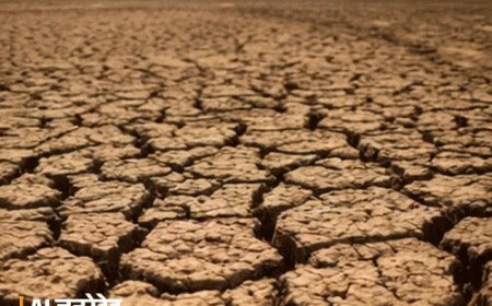 देश में 13वां सबसे सूखा मानसून:11 साल बाद सबसे कम बारिश, राजस्थान में 21% की कमी; 10 अक्टूबर तक देशभर से जाएगा मासनून