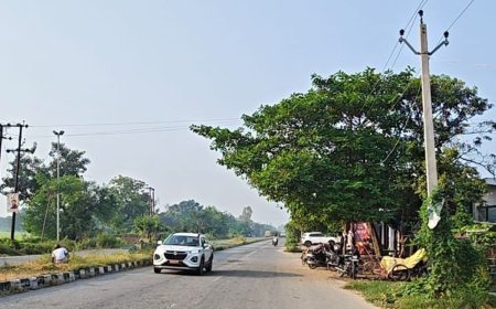 आजमगढ़ में कोहरे के बाद निकली धूप:शुक्रवार को दोपहर के बाद बदला था मौसम का मिजाज