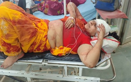 टायर फटने से कार पलटी, परिवार के 5 लोग घायल:चित्रकूट में मुंडन संस्कार कराकर लौटते समय खड़े ट्रक से टकराई गाड़ी