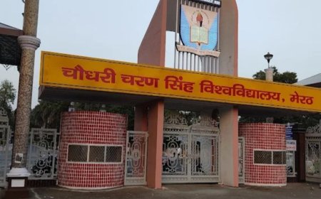 छात्र को कार में बैठाकर ले जाने की कोशिश:मेरठ CCSU में घेराबंदी के बाद आरोपी स्कॉर्पियो छोड़कर भागे