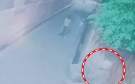 गोरखपुर में गुरुवार को कोर्ट नहीं पहुंचा कोई गवाह:10 साल की बच्ची से रेप- हत्या मामले में सुनवाई रुकी, अगली तारीख 16 अक्टूबर
