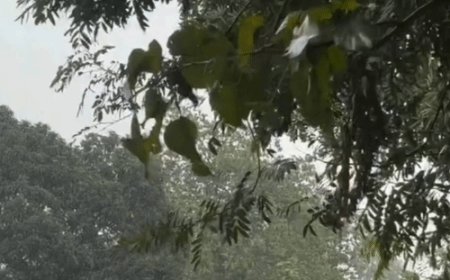 गोंडा में 24 घंटे में 50 मिमी से ज्यादा बारिश:तापमान 7 डिग्री गिरकर 23 पर पहुंचा, 24 घंटे का अलर्ट