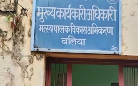 बलिया में महिलाओं को मत्स्य हैचरी लगाने का मौका:मत्स्य विभाग की योजना के तहत 24 अक्टूबर तक करें ऑनलाइन आवेदन