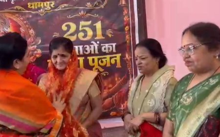 नवमी पर बिजनौर में कन्या पूजन और भंडारे का आयोजन:धामपुर में 251 कन्याओं का चरण पूजन, चामुंडा धाम में सैकड़ों ने पाया प्रसाद