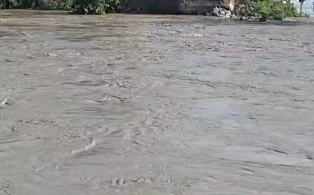 ठेकेदार संघ ने उठाए बाढ़ बचाव के इंतजामों पर सवाल:तटबंध टूटने पर बोले- बाढ़ से पहले सिर्फ कागजों पर, मौके पर नहीं दिखी