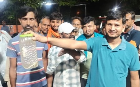 सांप ने डसा युवक, डिब्बे में बंद कर पहुंचा अस्पताल:ट्रामा सेंटर में खलबली मची, गार्ड ने परिजनों को रोका