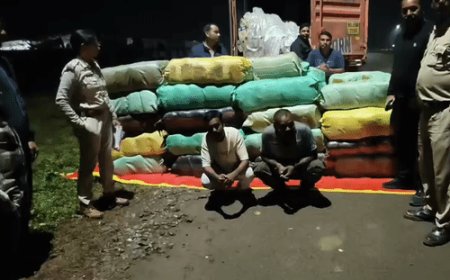 झांसी एंटी नारकोटिक्स टास्क फोर्स ने MP में गांजा पकड़ा:1.30 करोड़ का गांजा मैहर जा रहा था, तस्कर यूपी का रहने वाला
