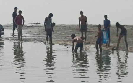 बागपत में यमुना किनारे हजारों मछलियां मरी मिलीं:दूषित पानी से मौतें; चरमशोधक इकाइयों का गंदा पानी नदी में जाने से समस्या