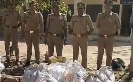 बागपत में अवैध पटाखा फैक्ट्री पर छापा, 4 आरोपी गिरफ्तार:दो फैक्ट्री और तीन गोदाम से लाखों के पटाखे, 16 मशीनें मिलीं; 3 फरार