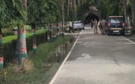 सिद्धार्थनगर में महिला को लाठी-डंडों से पीटा:दंपती पर मारपीट, गाली-गलौज और धमकी का मुकदमा दर्ज
