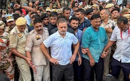 राहुल-प्रियंका पर प्राथमिकी, दिल्ली प्रदर्शन में क्या हुआ?