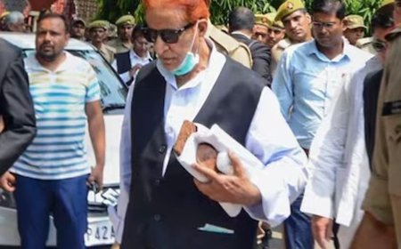 आजम खान और बेटे अब्दुल्ला को मिली जमानत:दो पैनकार्ड मामले में हाईकोर्ट ने दी राहत