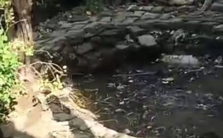 सकरापार में रास्ते के विवाद की जांच शुरू:वीडियो सामने आने के 10 दिन बाद राजस्व टीम और पुलिस ने की स्थलीय जांच
