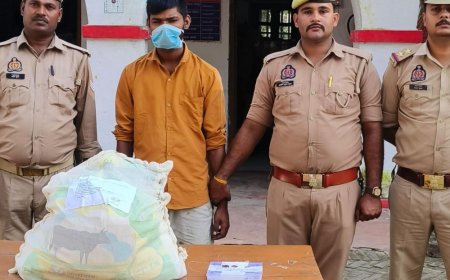 श्रावस्ती में दुकान का शेड हटाकर चोरी करने वाला गिरफ्तार:पुलिस ने गन्ने के खेत से दबोचा, मोबाइल समेत चोरी के सामान बरामद