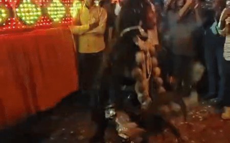 प्रयागराज के सिविल लाइंस में दशहरे की धूम:रामदल और चौकियों को देखने उमड़ी भीड़...VIDEO