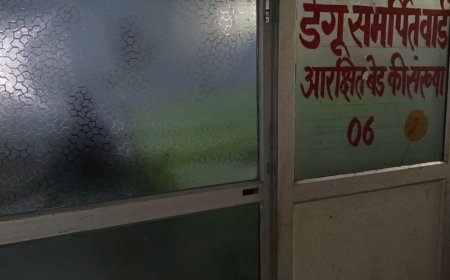 फतेहपुर में डेंगू के दो नए मरीज मिले:कुल संक्रमितों की संख्या 57 पहुंची, पिछले साल मिले थे 365 मरीज