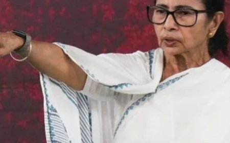 TMC से छिनी 2 संसदीय समितियों की अध्यक्षता:डोला की जगह सुधांशु वाणिज्य समिति प्रमुख बने; दोनों सदन में ममता गुट के सिर्फ 16 सांसद