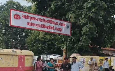 गोरखपुर मंडल को मिले नए AD हेल्थ:CMO का ट्रांसफर, डिस्ट्रिक्ट हॉस्पिटल के SIC भी बदले गए