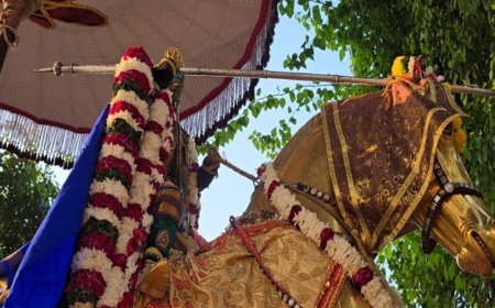 विजय दशमी पर भगवान रंगनाथ ने किया शमी का पूजन:सोने के घोड़े पर विराजमान होकर निकली प्रभु की सवारी,भक्तों ने लगाए जयकारे