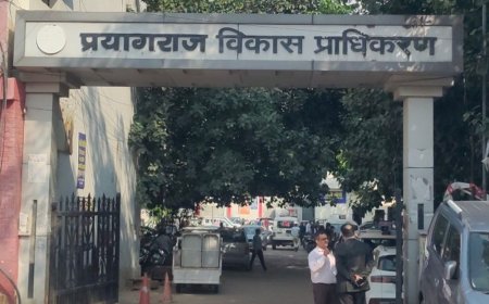 PDA ने 7000 वर्गमीटर की अवैध प्लाटिंग पर चलाया बुलडोजर:प्रयागराज के फाफामऊ के पडिला महादेव मंदिर के पास हुई कार्रवाई