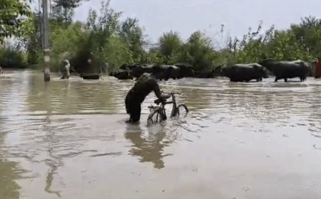 गोंडा में घाघरा खतरे के निशान से 26 सेंटीमीटर ऊपर:30 गांवों की 25 हजार आबादी बाढ़ से प्रभावित, मचान पर खाना बना रहे लोग