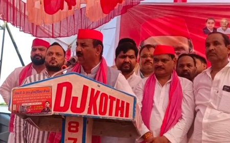 सपा प्रदेश अध्यक्ष - वो सब हमारे PDA हैं:राज्यसभा सदस्यों पर विपक्ष के आरोपों का श्यामलाल पाल ने दिया जवाब