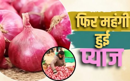 60 के पार पहुंची प्याज, त्योहारों से पहले बढ़ी रसोई की चिंता